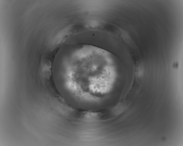 X0000112860332200909181807