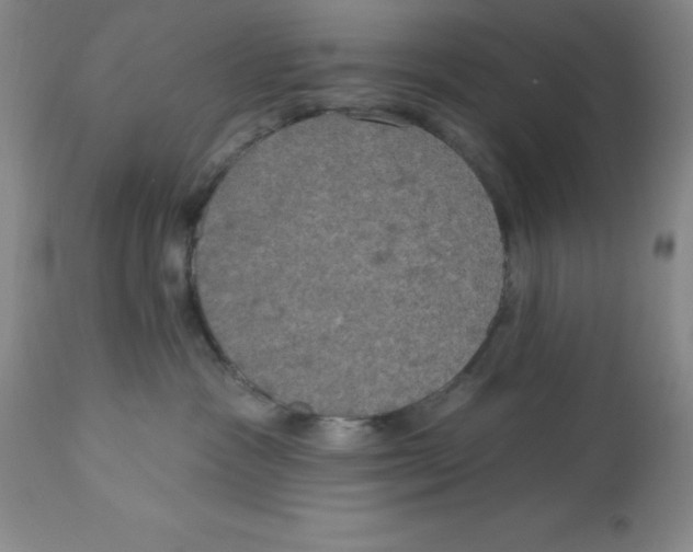 X0000112860333200909181807