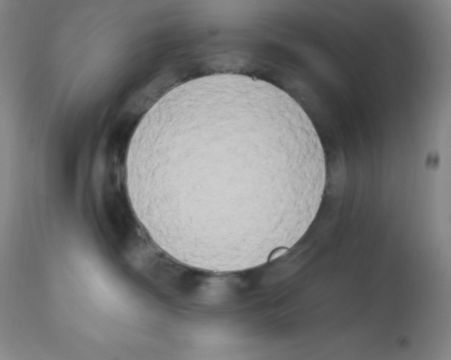 X0000112860334200909181807