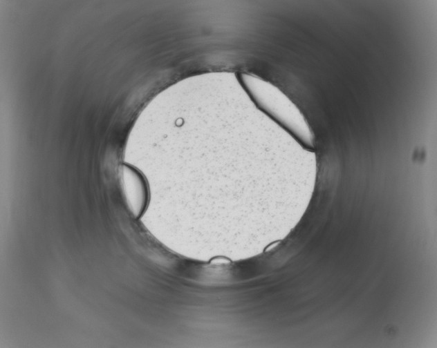 X0000112860335200909181807
