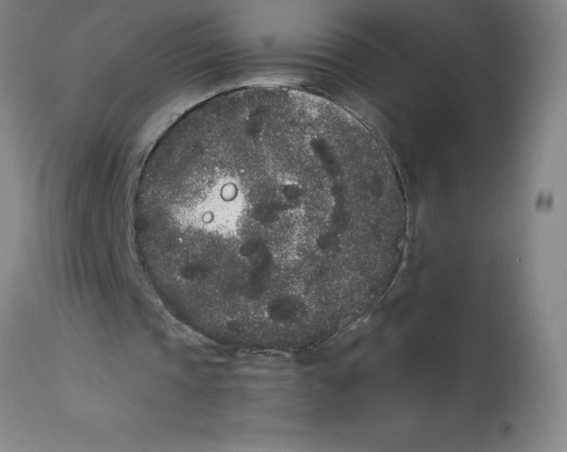 X0000112860337200909181806