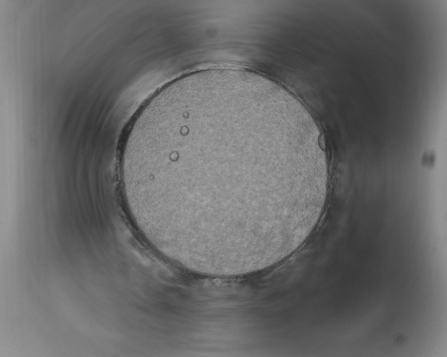 X0000112860338200909181806