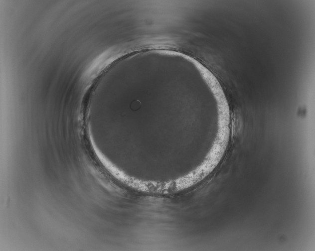 X0000112860339200909181806