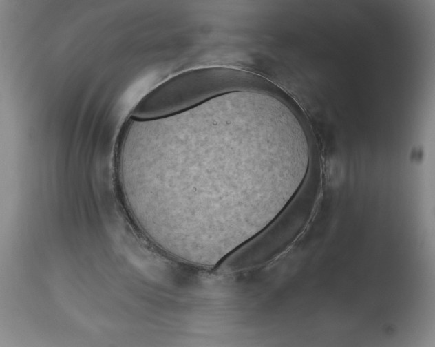 X0000112860340200909181806