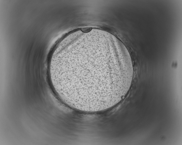 X0000112860342200909181806