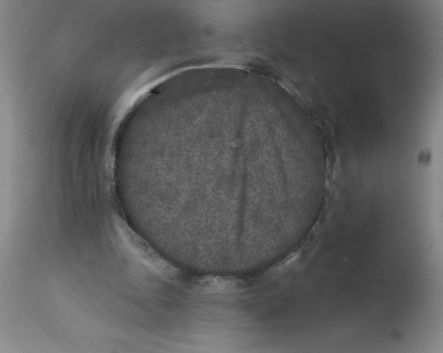 X0000112860343200909181806