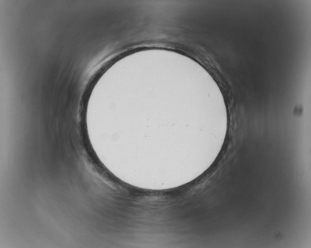 X0000112860344200909181806