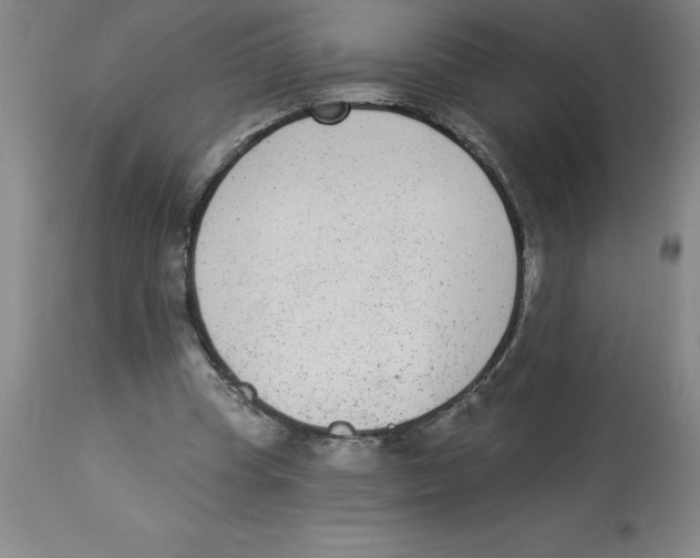 X0000112860345200909181806