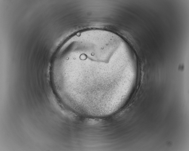 X0000112860346200909181806