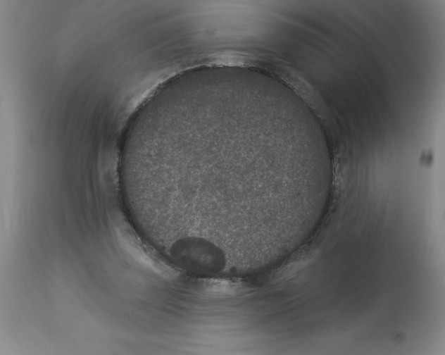 X0000112860347200909181806