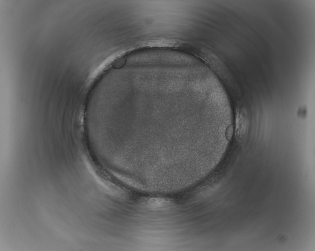 X0000112860348200909181806