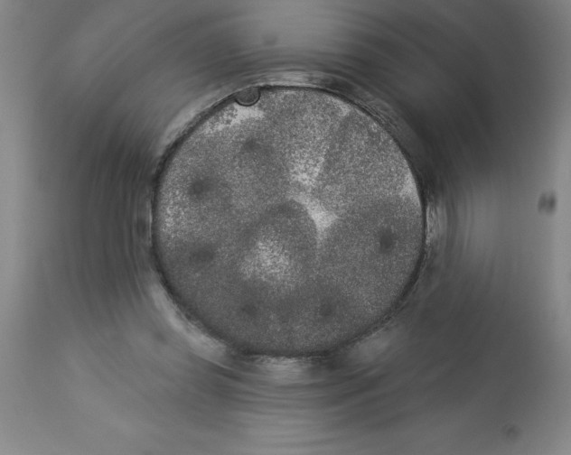 X0000112860349200909181806