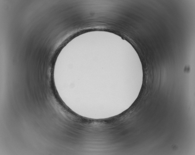 X0000112860350200909181806