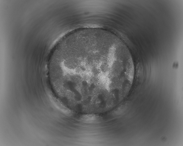 X0000112860351200909181806
