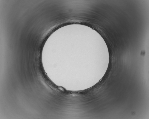 X0000112860352200909181806