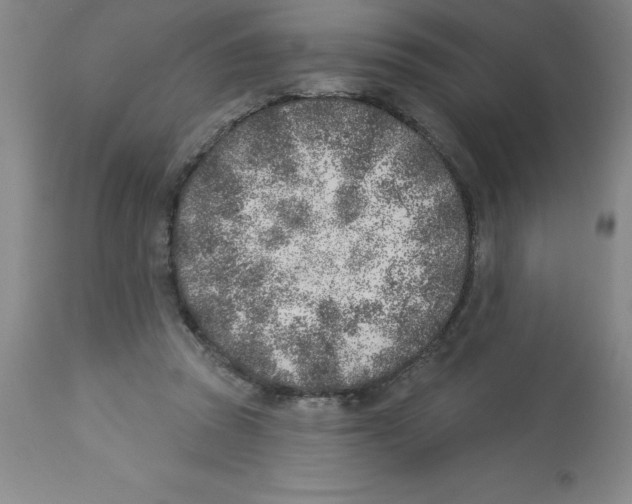 X0000112860353200909181806