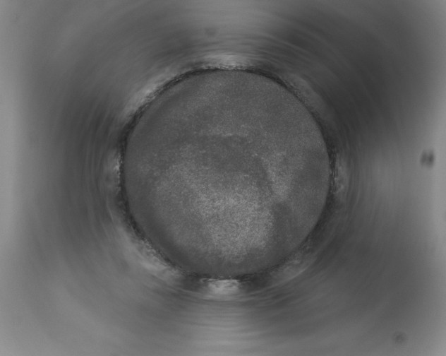X0000112860355200909181806