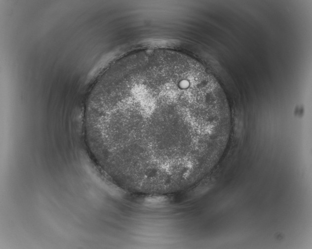 X0000112860357200909181806