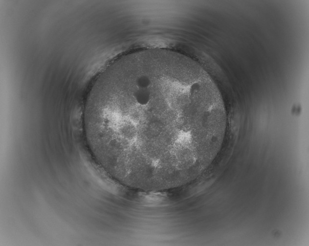 X0000112860359200909181806