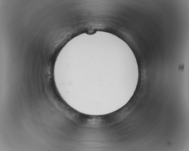 X0000112860362200909181806