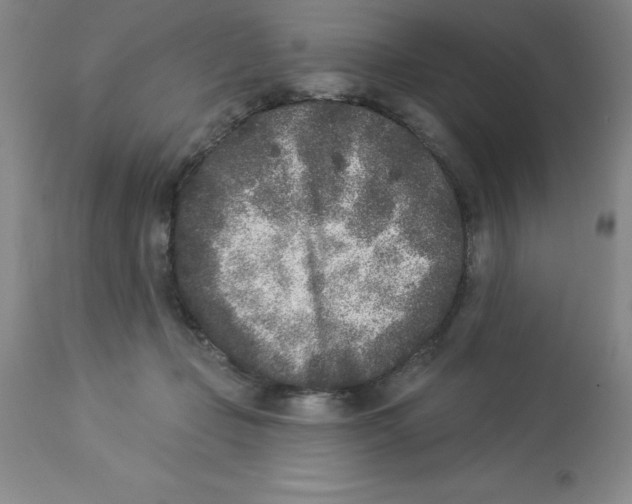 X0000112860365200909181806