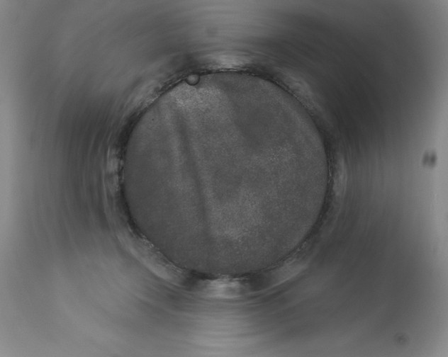 X0000112860366200909181806