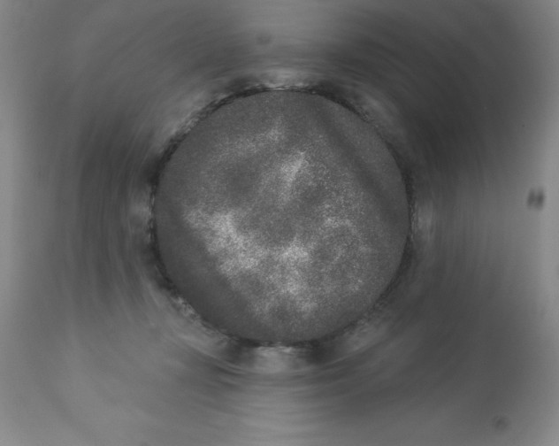 X0000112860367200909181807