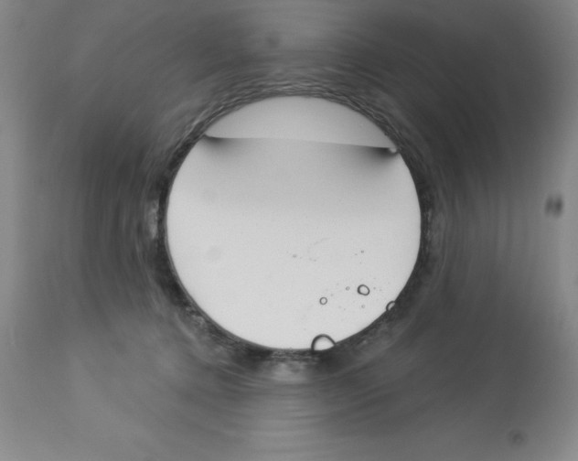 X0000112860368200909181807