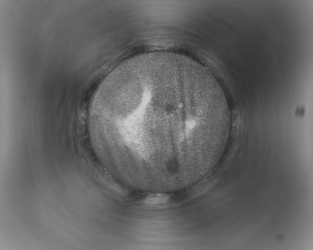 X0000112860369200909181807