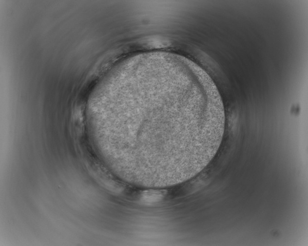 X0000112860373200909181807