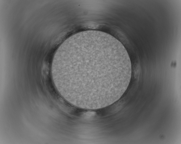 X0000112860374200909181807
