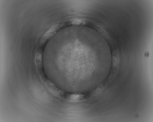 X0000112860375200909181807