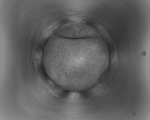 X0000112860376200909181807