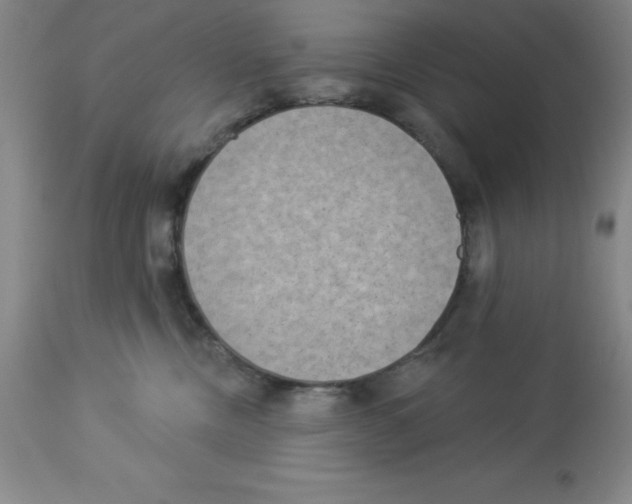 X0000112860378200909181807