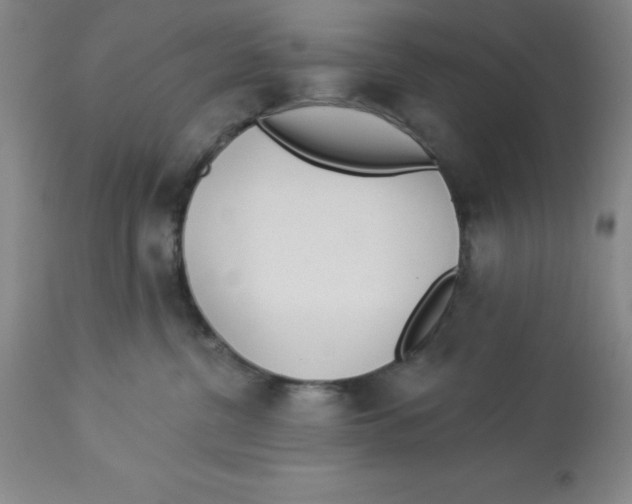 X0000112860380200909181807