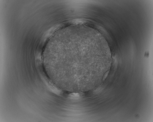 X0000112860381200909181807