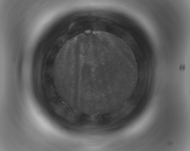 X0000112860383200909181807