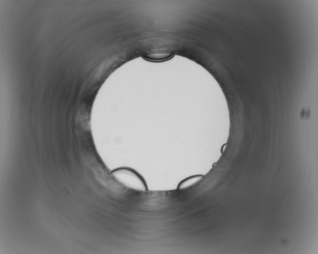 X0000112860384200909181807