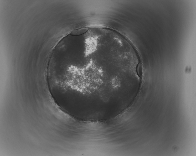 X0000112860385200909181806