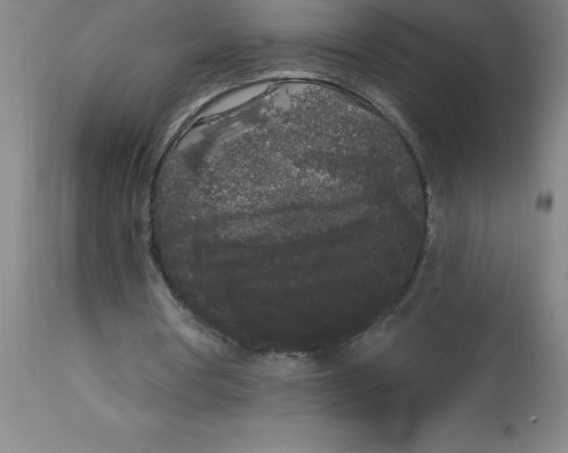 X0000112860386200909181806