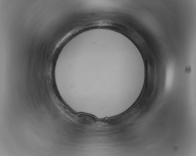 X0000112860387200909181806
