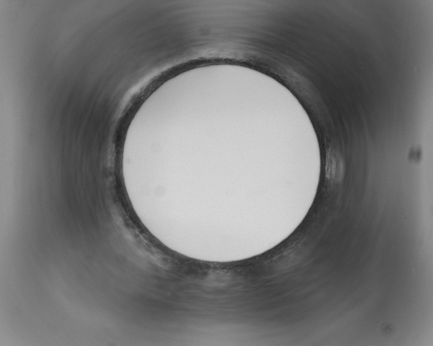 X0000112860388200909181806