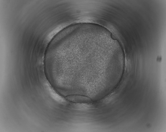 X0000112860389200909181806
