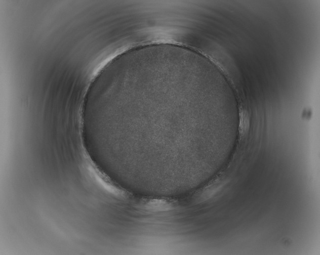 X0000112860390200909181806