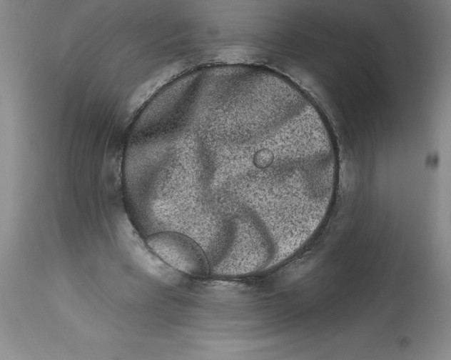 X0000112860393200909181806