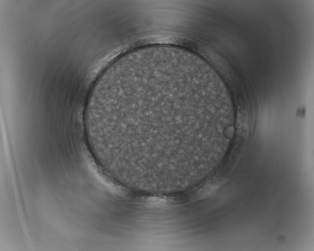 X0000112860394200909181806