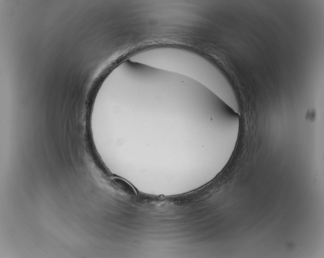 X0000112860395200909181806