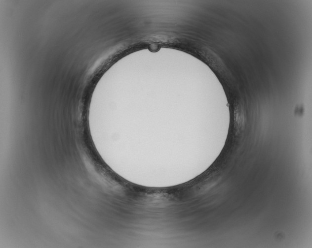 X0000112860396200909181806