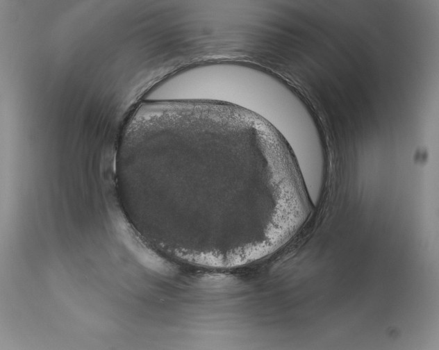 X0000112860397200909181806