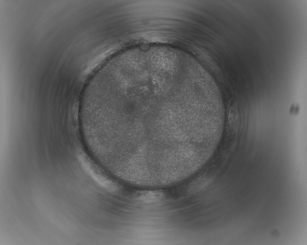 X0000112860398200909181806